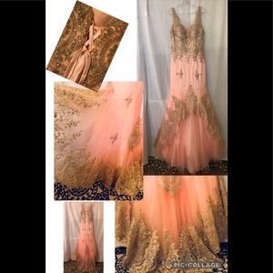 Cinderella Design_New Blush Pink Gown with Scarf_Size 6